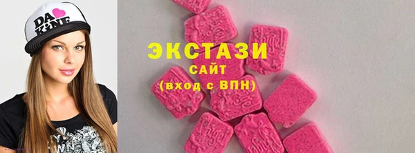 хмурый Нестеровская
