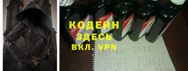 хмурый Нестеровская