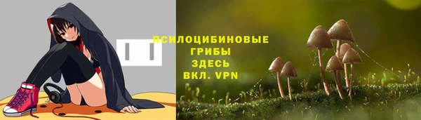 хмурый Нестеровская