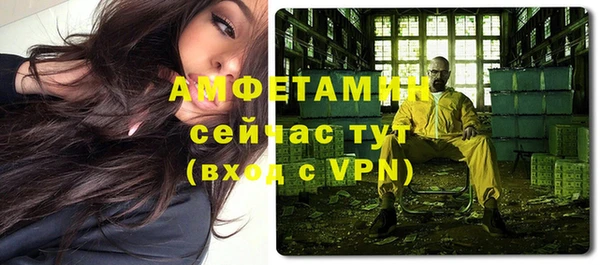 хмурый Нестеровская