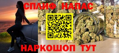 a pvp Дубна