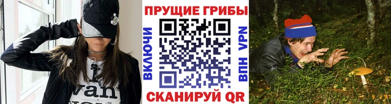 где продают наркотики  Ноябрьск  Галлюциногенные грибы мухоморы 
