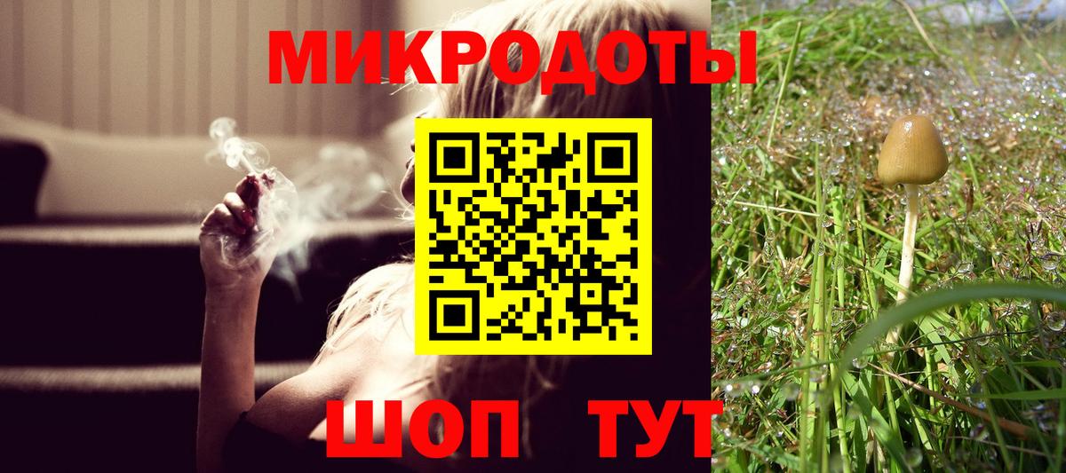 Галлюциногенные грибы мицелий  Галлюциногенные грибы прущие грибы  Ноябрьск 