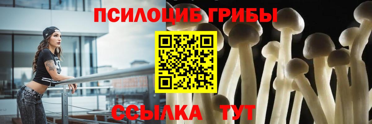 Ноябрьск  хочу   Вход с VPN  Псилоцибиновые грибы GOLDEN TEACHER 